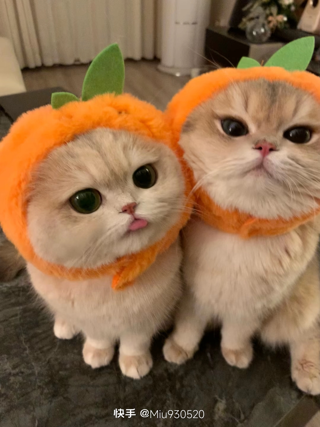 xtyyds的头像-boKE